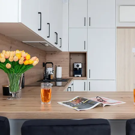 Sunny With Parking & Balcony Luzycka By Renters *